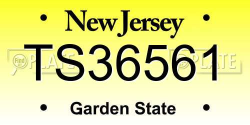TS36561 New Jersey License Plate