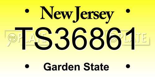 TS36861 New Jersey License Plate