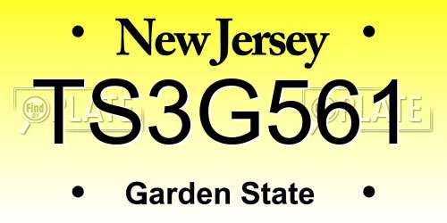 TS3G561 New Jersey License Plate