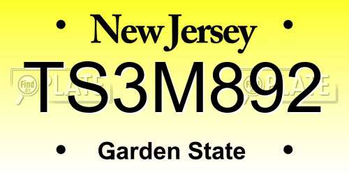 TS3M892 New Jersey License Plate