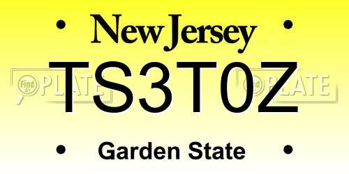 TS3T0Z New Jersey License Plate