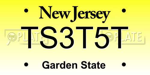 TS3T5T New Jersey License Plate
