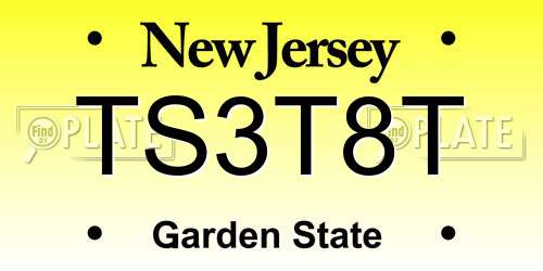 TS3T8T New Jersey License Plate
