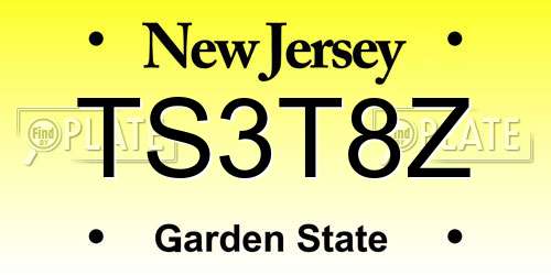 TS3T8Z New Jersey License Plate
