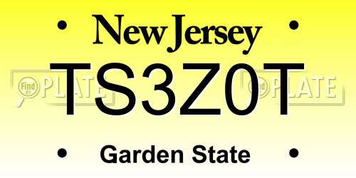 TS3Z0T New Jersey License Plate