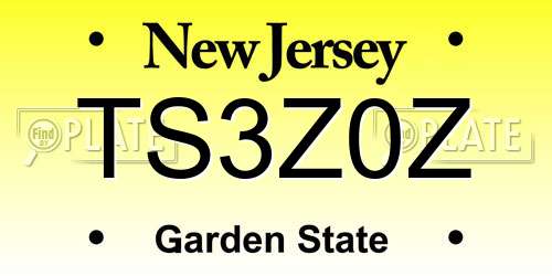 TS3Z0Z New Jersey License Plate