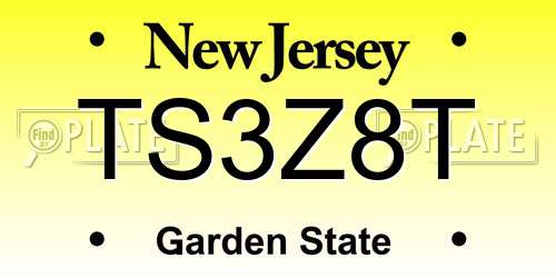 TS3Z8T New Jersey License Plate