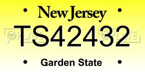 TS42432 New Jersey License Plate