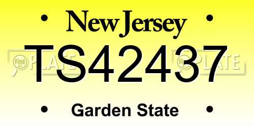 TS42437 New Jersey License Plate