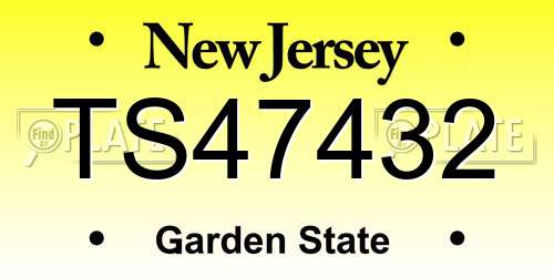 TS47432 New Jersey License Plate