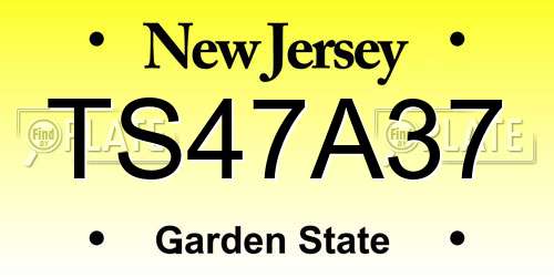 TS47A37 New Jersey License Plate