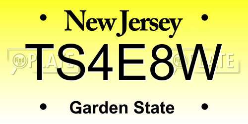 TS4E8W New Jersey License Plate