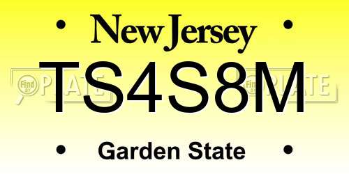 TS4S8M New Jersey License Plate