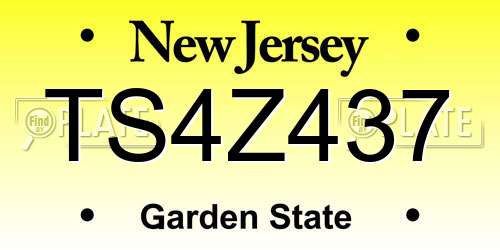 TS4Z437 New Jersey License Plate