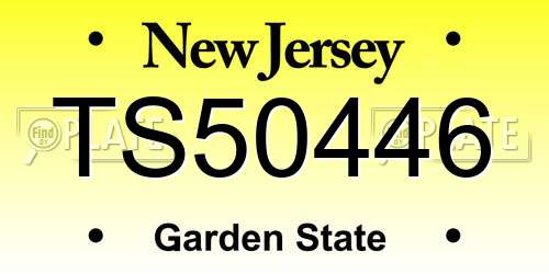TS50446 New Jersey License Plate