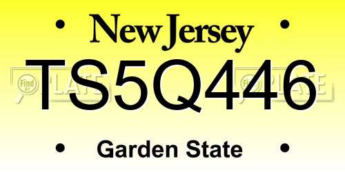 TS5Q446 New Jersey License Plate