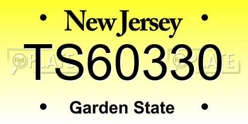 TS60330 New Jersey License Plate
