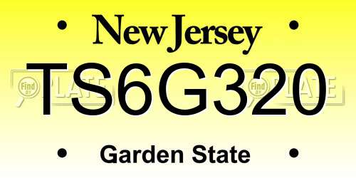 TS6G320 New Jersey License Plate