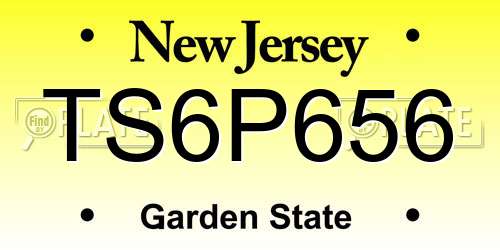 TS6P656 New Jersey License Plate