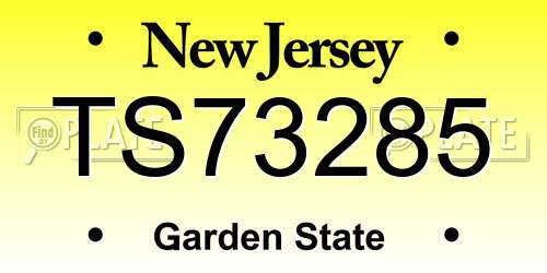 TS73285 New Jersey License Plate