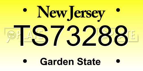 TS73288 New Jersey License Plate
