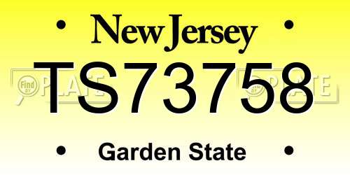 TS73758 New Jersey License Plate