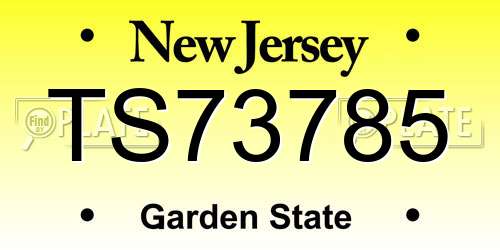 TS73785 New Jersey License Plate