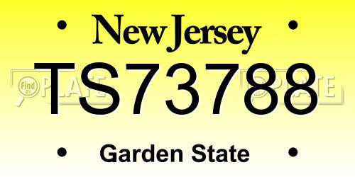 TS73788 New Jersey License Plate