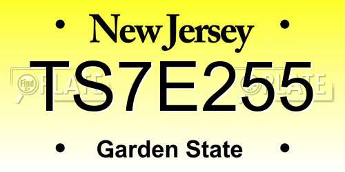 TS7E255 New Jersey License Plate
