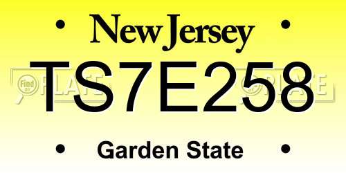 TS7E258 New Jersey License Plate