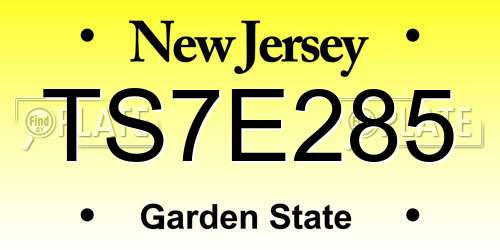 TS7E285 New Jersey License Plate