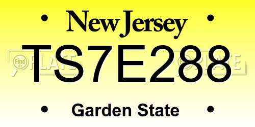 TS7E288 New Jersey License Plate