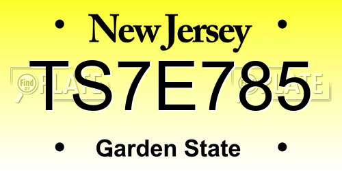 TS7E785 New Jersey License Plate