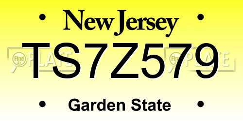 TS7Z579 New Jersey License Plate