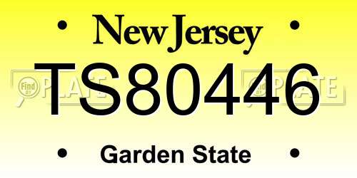 TS80446 New Jersey License Plate