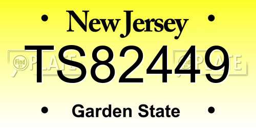 TS82449 New Jersey License Plate
