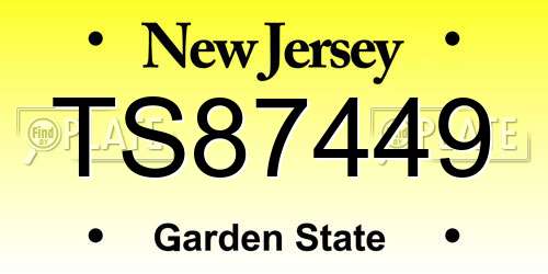 TS87449 New Jersey License Plate
