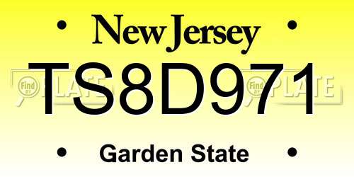TS8D971 New Jersey License Plate