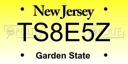 TS8E5Z New Jersey License Plate