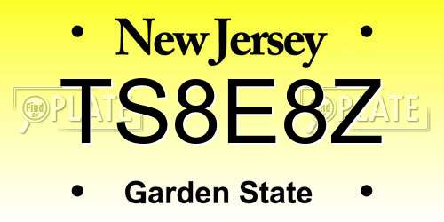 TS8E8Z New Jersey License Plate