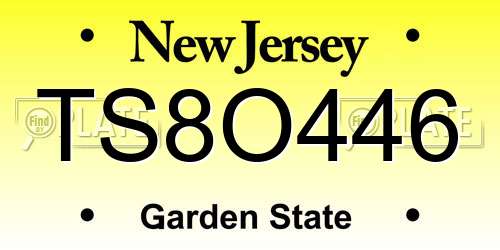 TS8O446 New Jersey License Plate