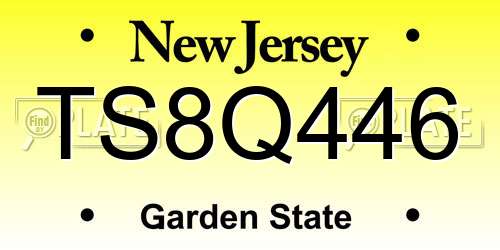 TS8Q446 New Jersey License Plate