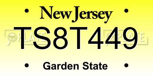 TS8T449 New Jersey License Plate