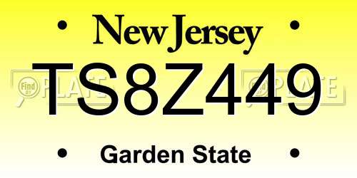 TS8Z449 New Jersey License Plate