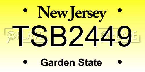 TSB2449 New Jersey License Plate