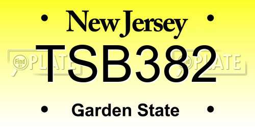 TSB382 New Jersey License Plate