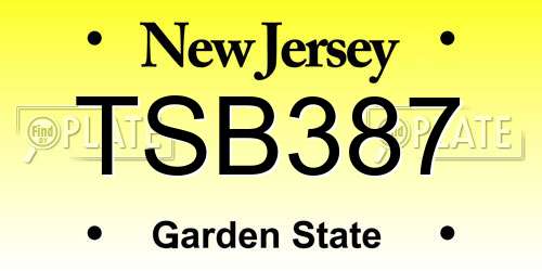TSB387 New Jersey License Plate