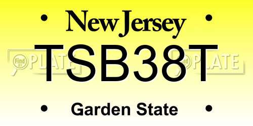 TSB38T New Jersey License Plate