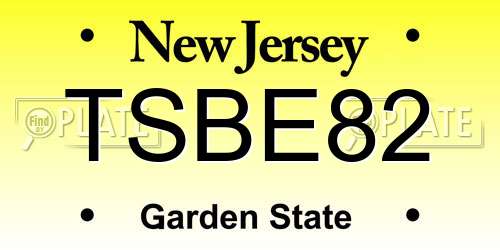 TSBE82 New Jersey License Plate