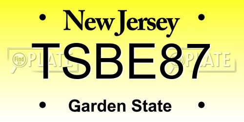 TSBE87 New Jersey License Plate